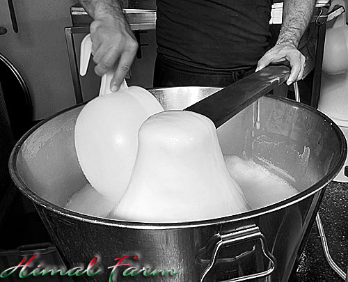 Mozzarella spinning