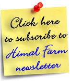 Subscribe to Himal Farm newsletter!
