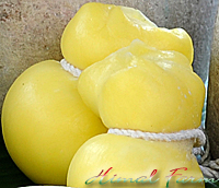 Scamorza