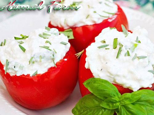 Tomatoes stuffed with Ricotta and aromatic herbs